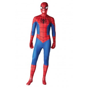 Spiderman Costume